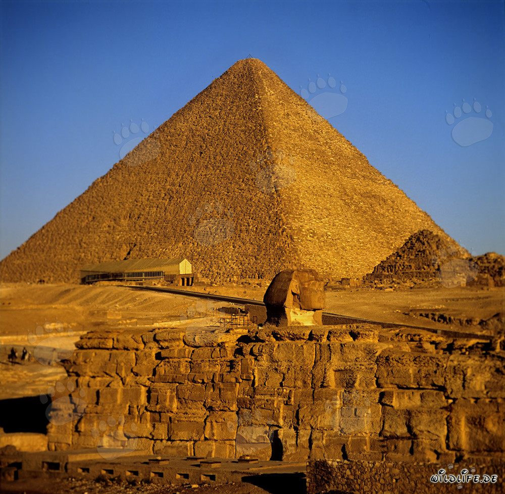 Die majestätische Cheops-Pyramide in Ägypten