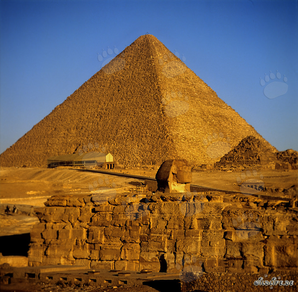 La majestueuse pyramide de Khéops en Égypte