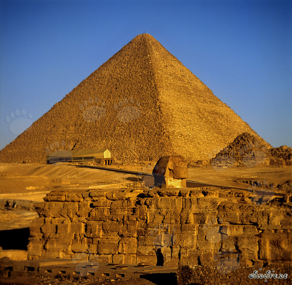 The majestic Great Pyramid of Khufu in Egypt