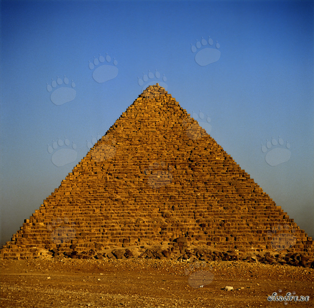 The majestic Pyramid of Menkaure in Giza