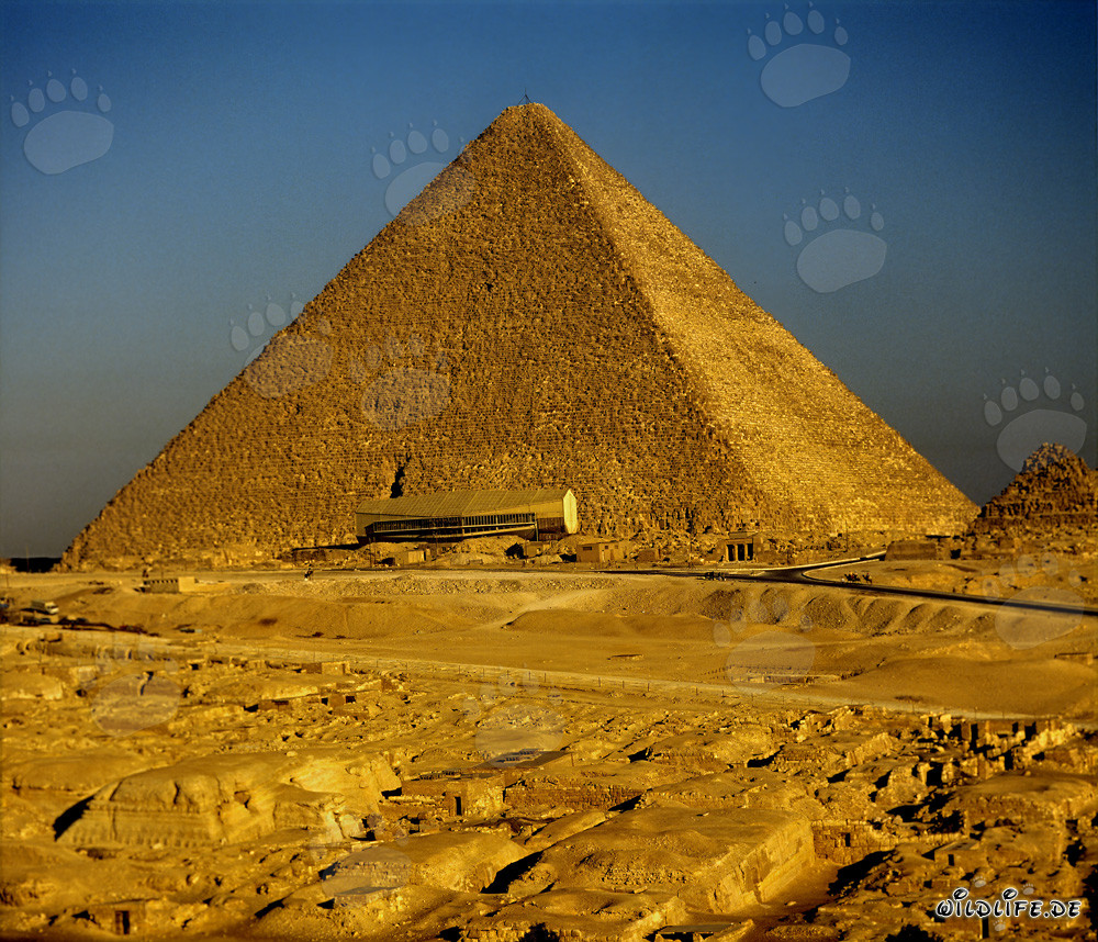 La majestueuse pyramide de Khéops à Gizeh