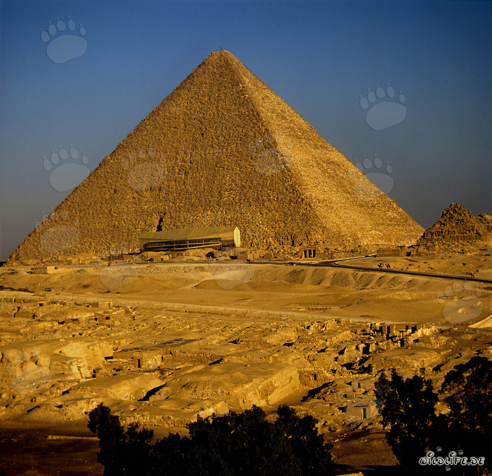 Die imposante Cheops-Pyramide mit dem faszinierenden Bootsmuseum in Gizeh, Aegypten