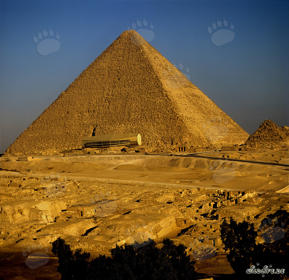 L'imponente piramide di Cheope con il fascinoso museo delle barche a Giza, Egitto