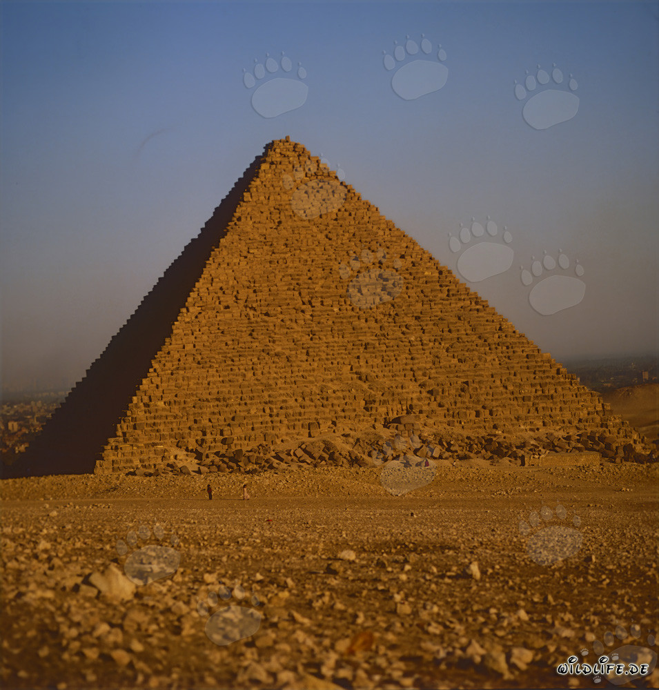 Chephren-Pyramide in Gizeh, Ägypten