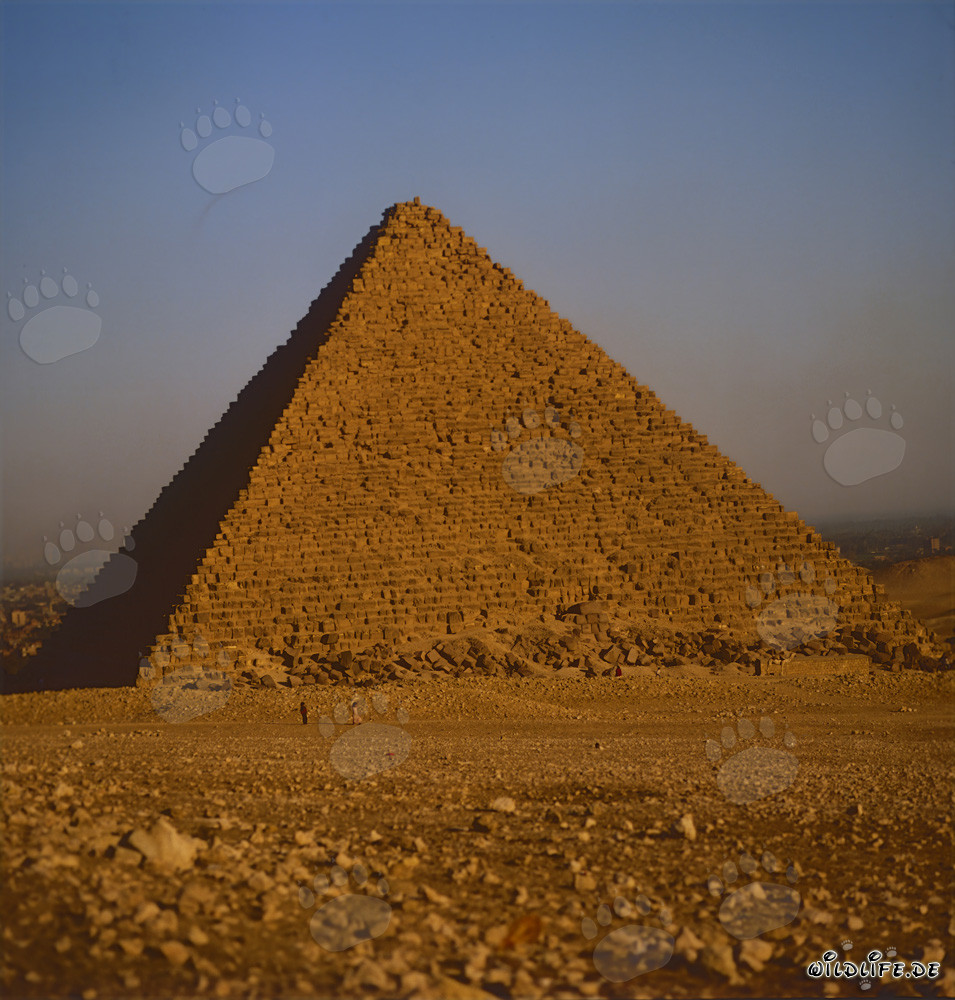 Piramide di Chefren a Giza, Egitto