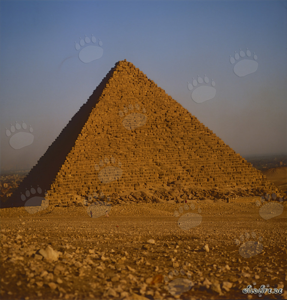 Pyramid of Khafre in Giza, Egypt
