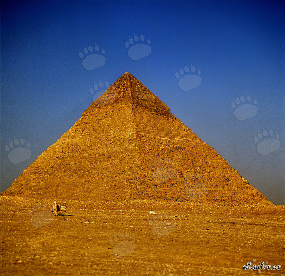 Chephren-Pyramide in Gizeh - Erhabenes Weltwunder der Antike