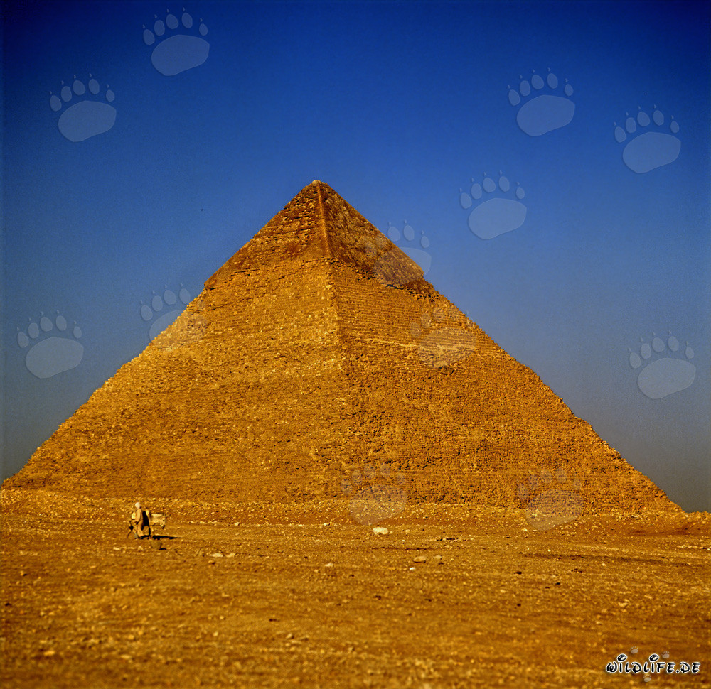 Piramide di Chefren a Giza - Sublime meraviglia dell'antichità