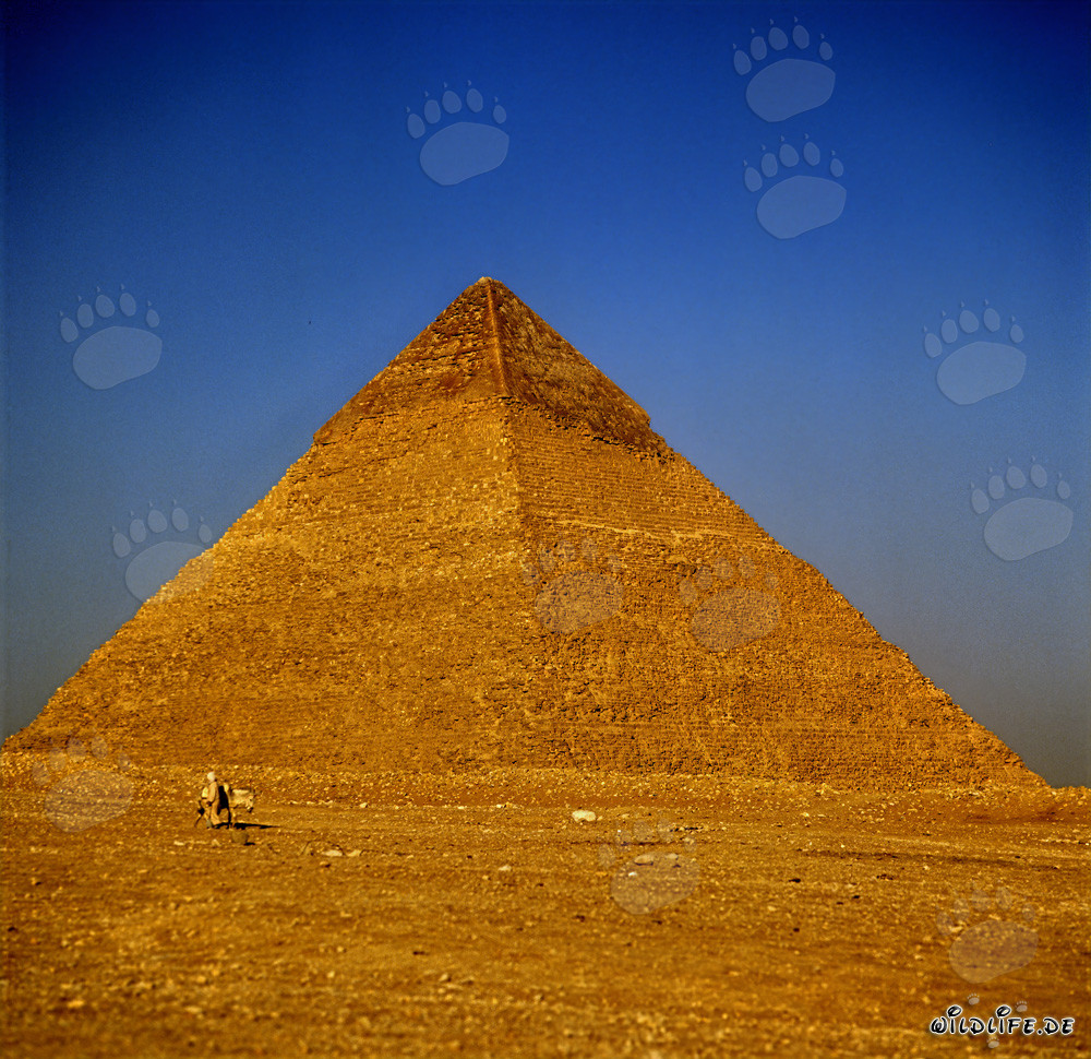 Pyramide de Khephren à Gizeh - Sublime merveille de l'Antiquité