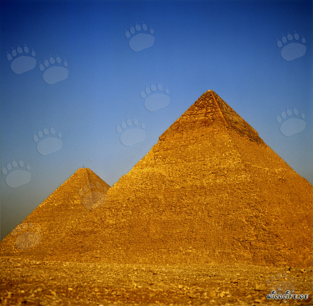 Las pirámides de Keops y Kefrén en Giza