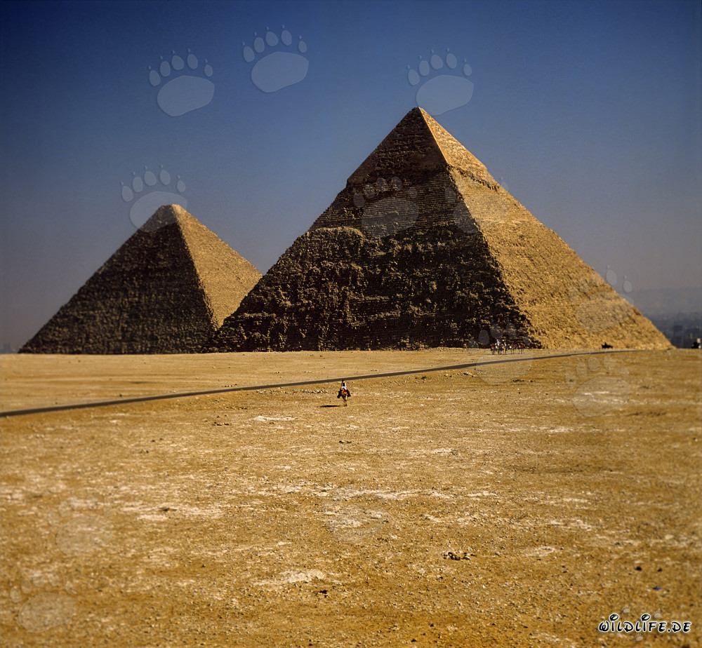 Las imponentes pirámides de Kefrén y Keops en Giza
