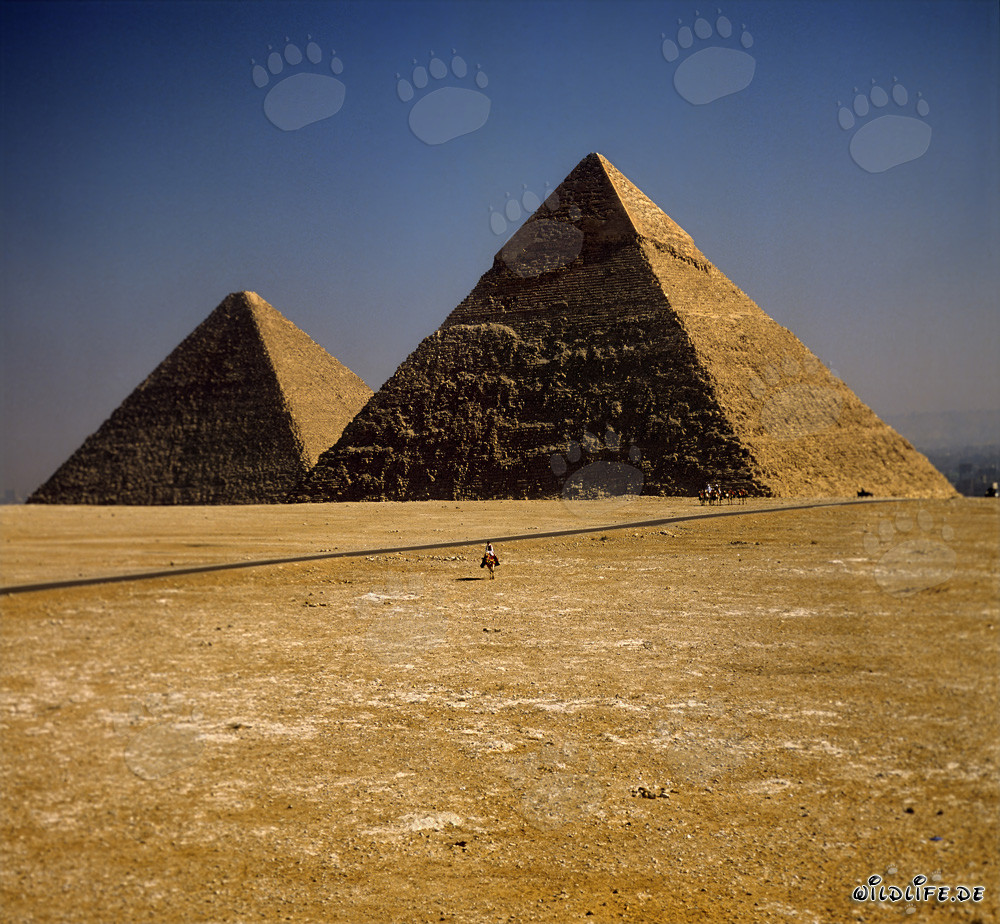 Le imponenti piramidi di Chefren e Cheope a Giza