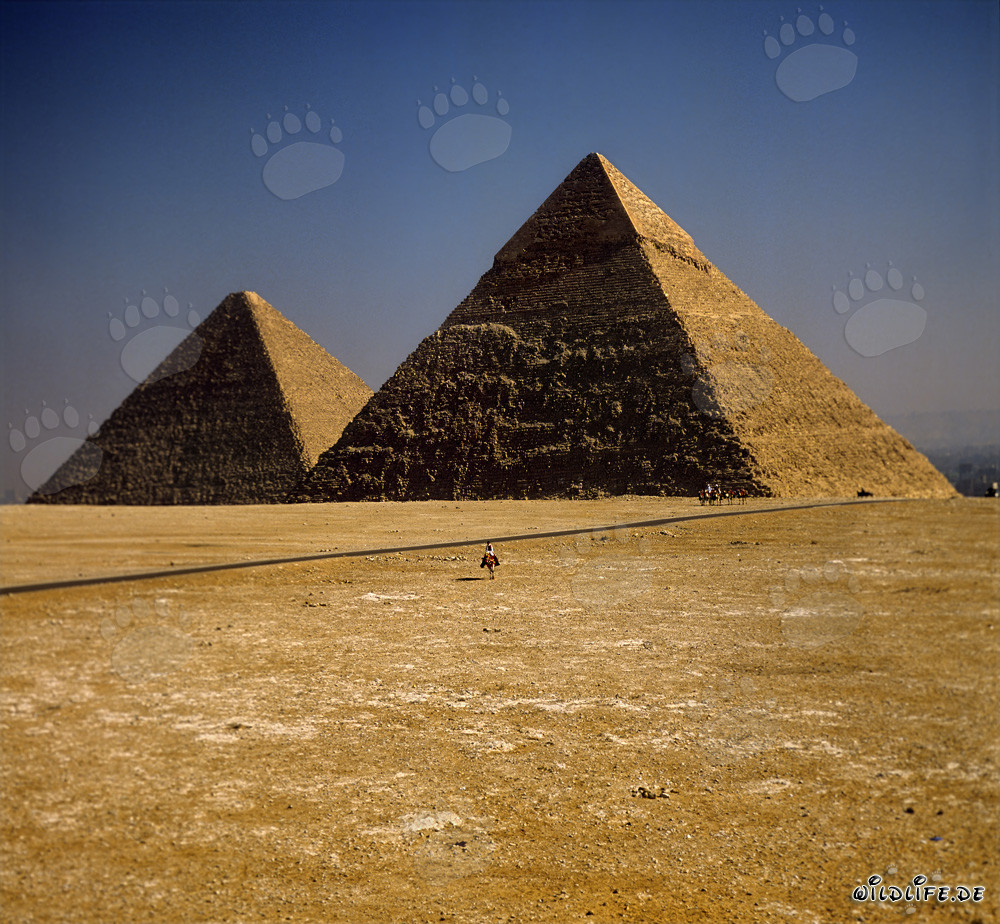 Die imposanten Pyramiden von Chephren und Cheops in Gizeh