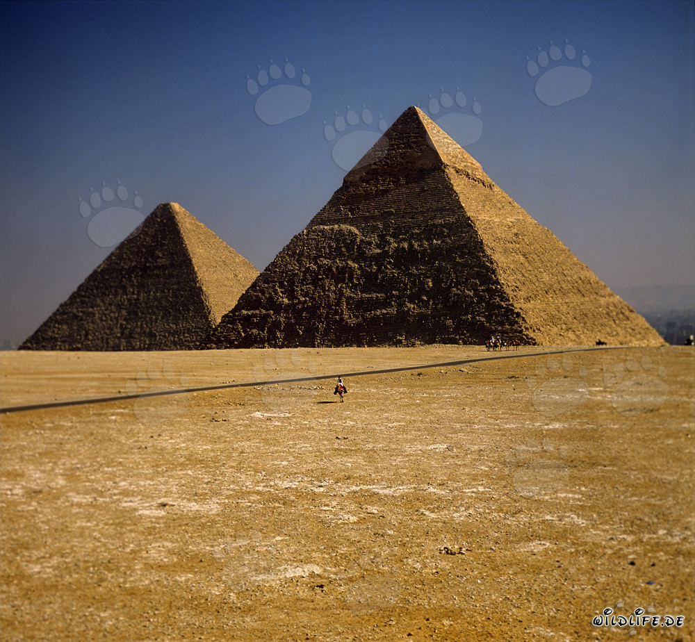 The impressive pyramids of Khephren and Cheops in Giza