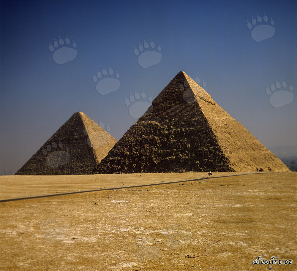 Impressionanti piramidi di Chefren e Cheope a Giza