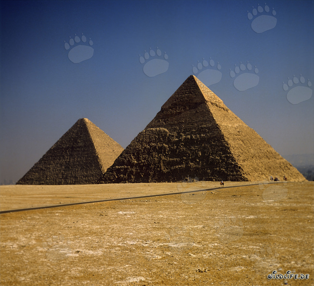 Beeindruckende Chephren und Cheops Pyramiden in Gizeh