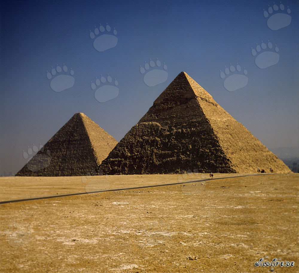 Impresionantes pirámides de Kefrén y Keops en Giza
