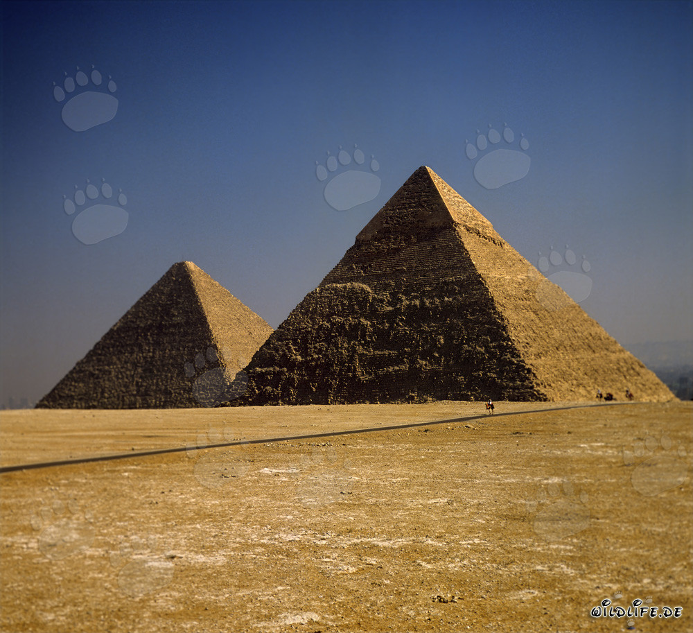 Impressive Pyramid of Khephren and Pyramid of Cheops at Giza