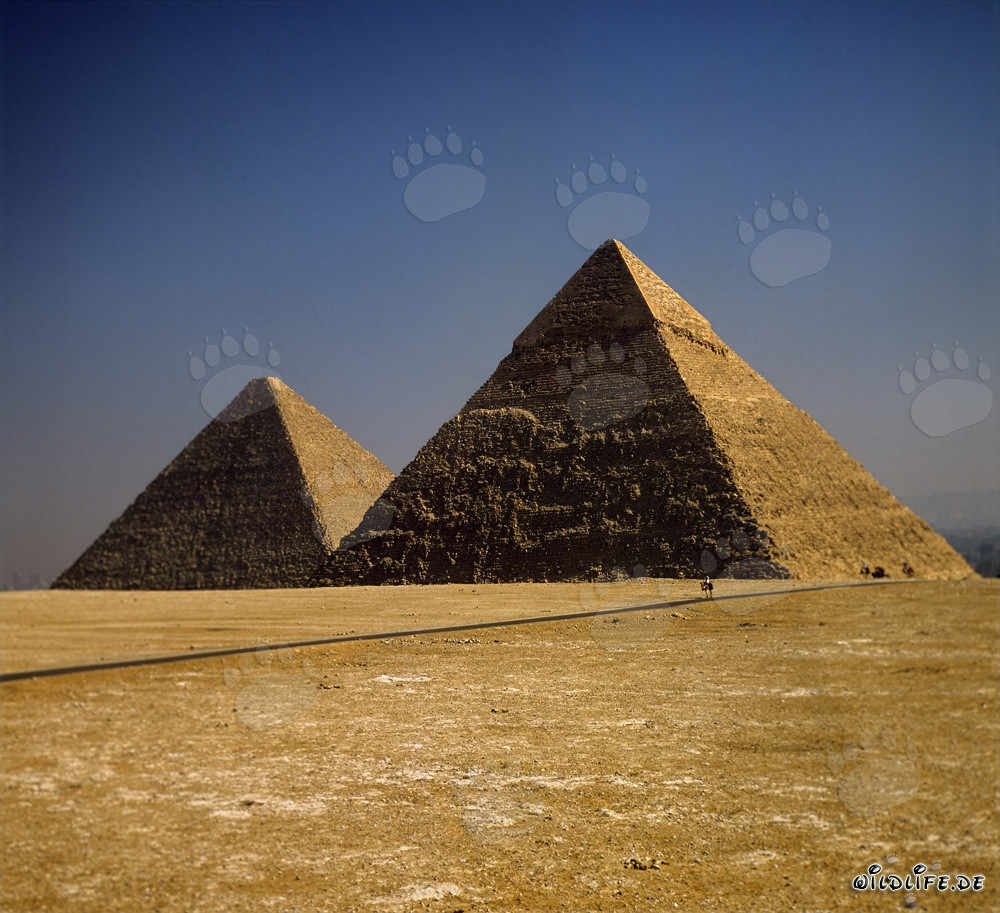 Impressionnantes pyramides de Khephren et de Khéops à Gizeh