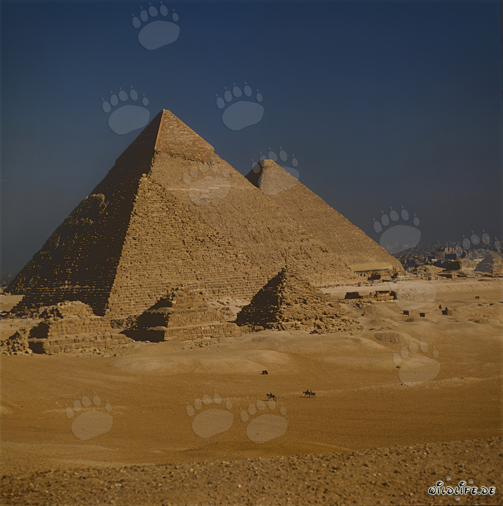 Las majestuosas pirámides de Micerinos, Kefrén y Keops en Giza
