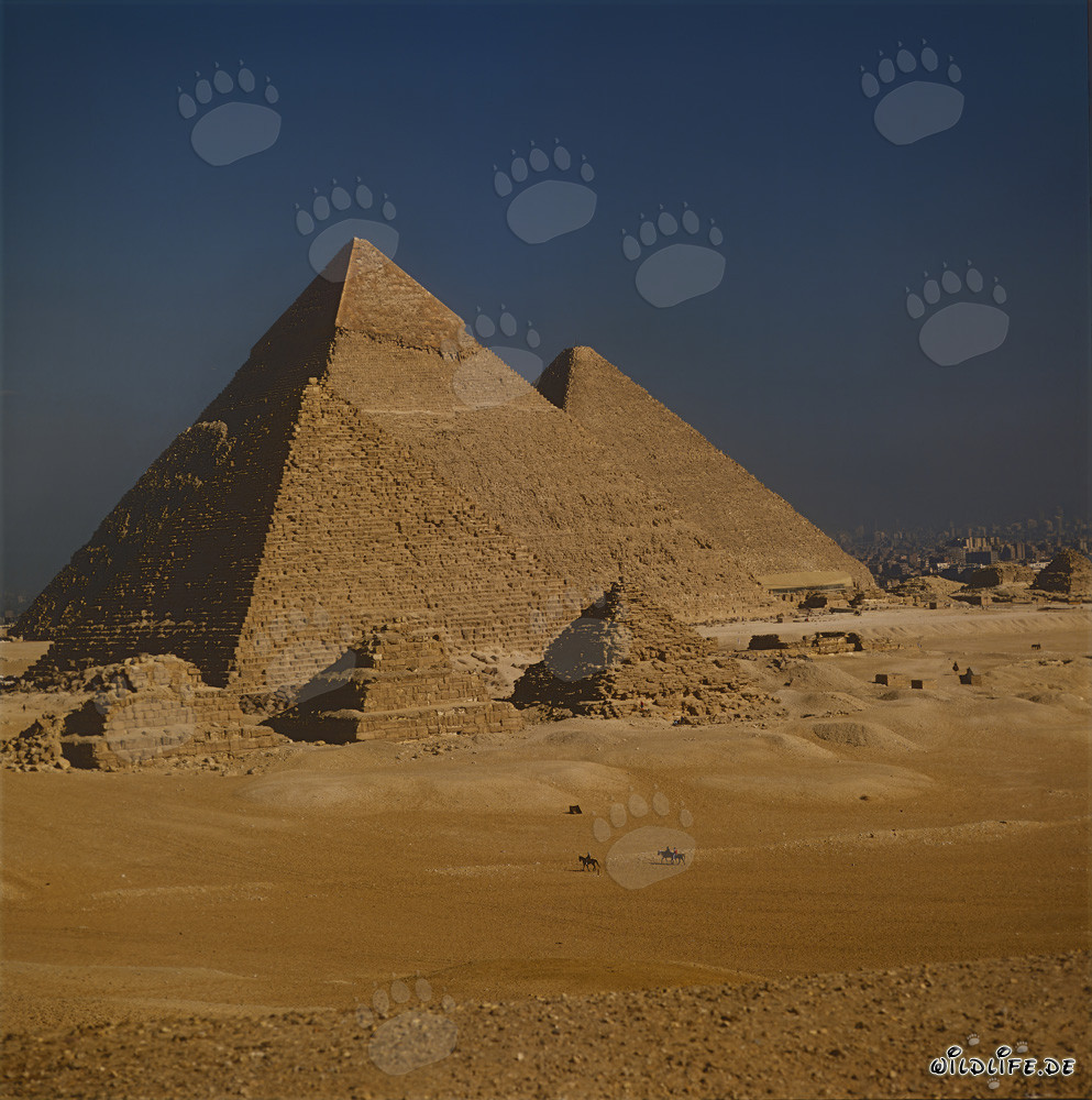 Le maestose piramidi di Micerino, Chefren e Cheope a Giza