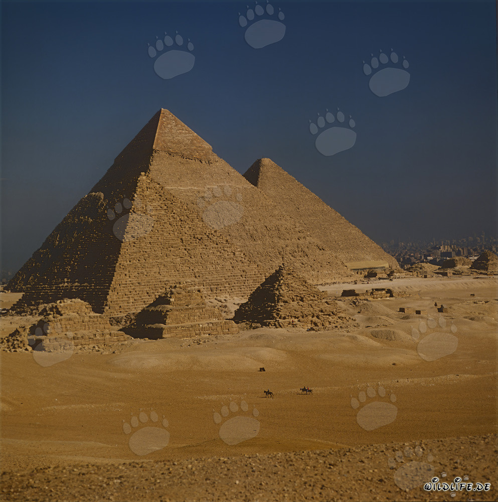 Die majestätischen Pyramiden von Mykerinos, Chephren und Cheops in Gizeh
