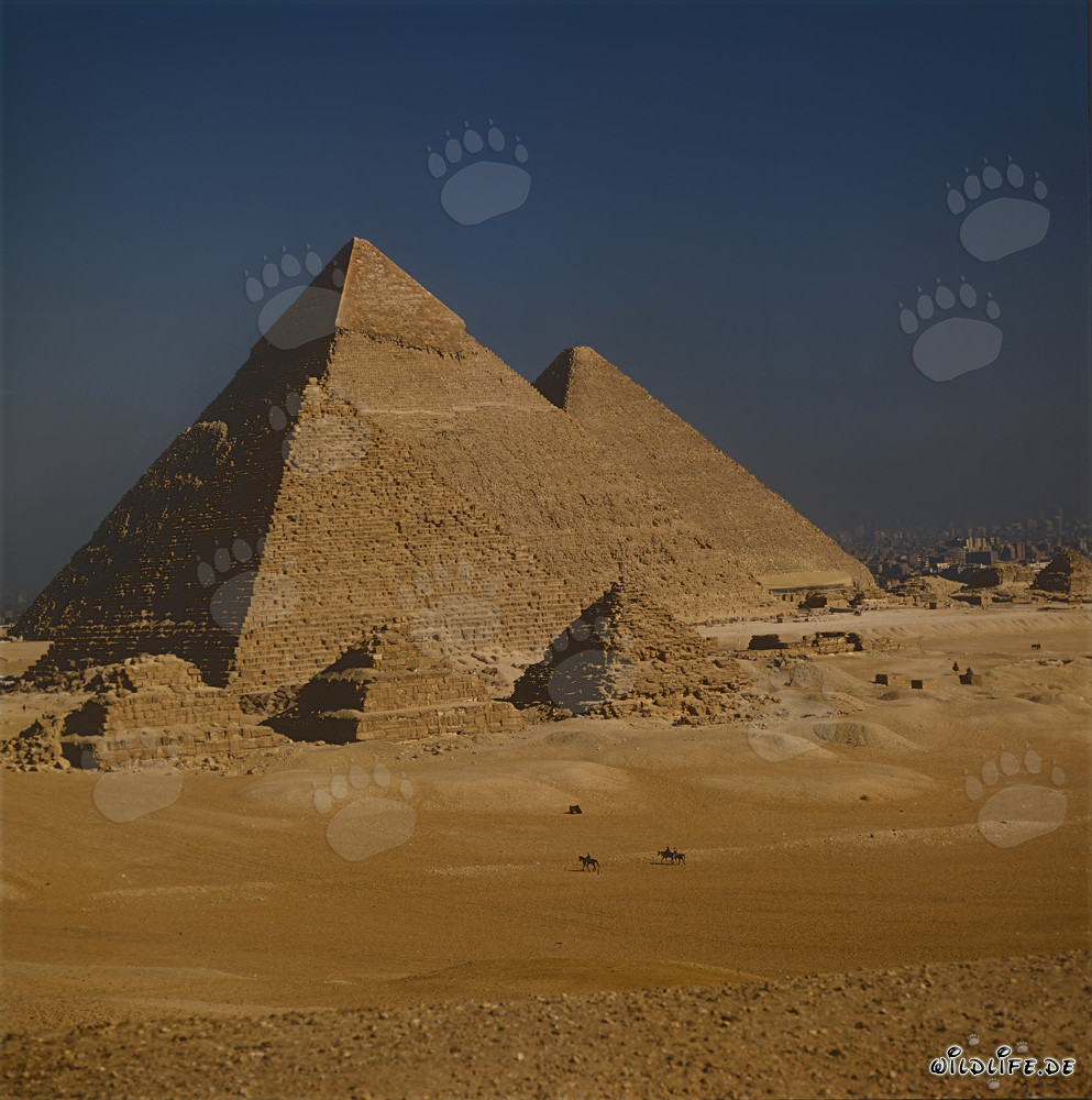 Les majestueuses pyramides de Mykérinos, Khéphren et Khéops à Gizeh