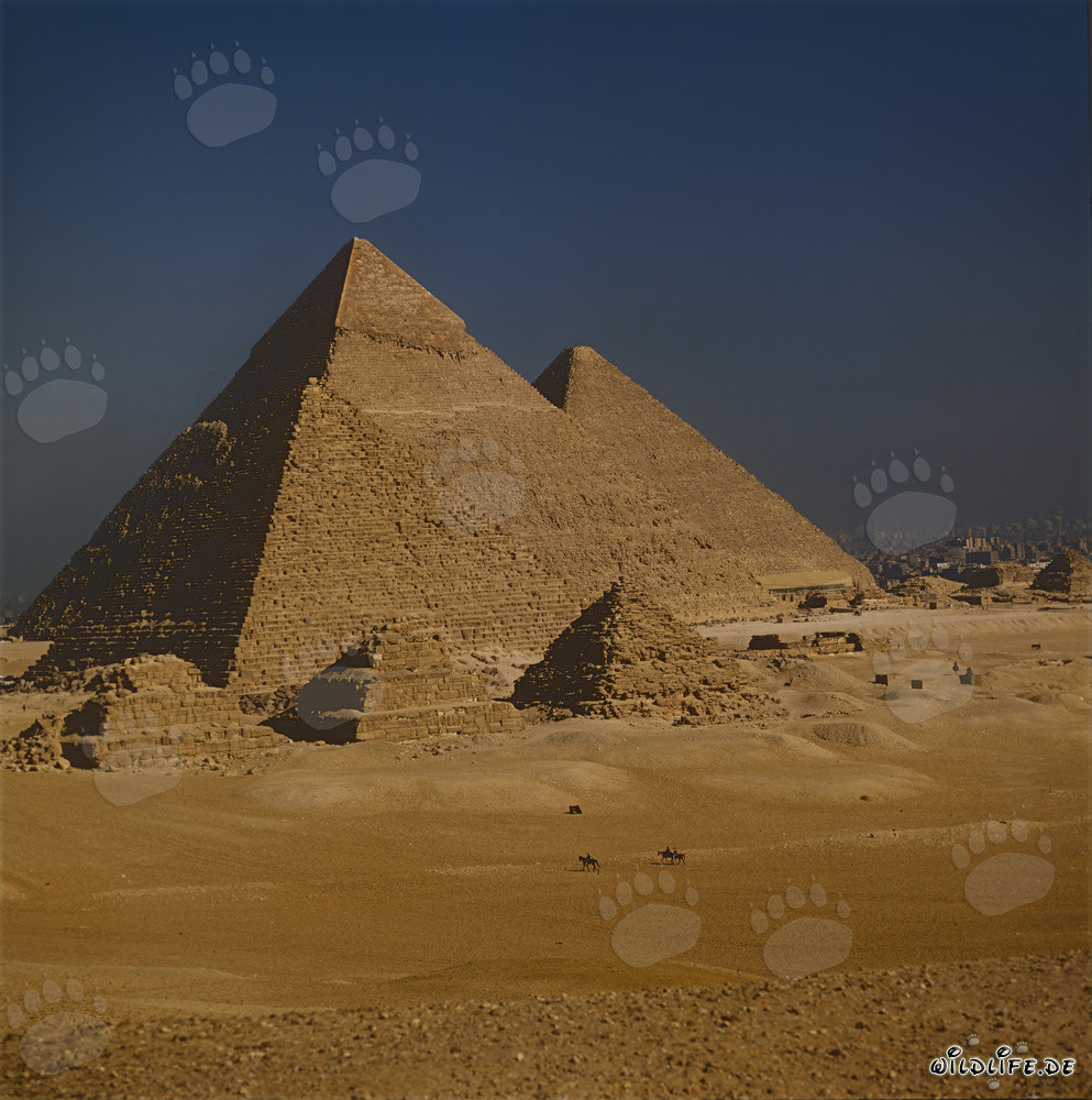 The majestic pyramids of Khufu, Khafre, and Menkaure in Giza