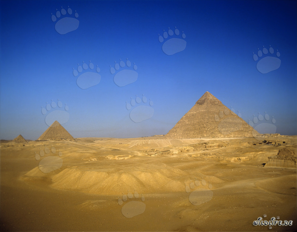 View of the Pyramids of Khufu, Khephren, and Menkaure in the Desert