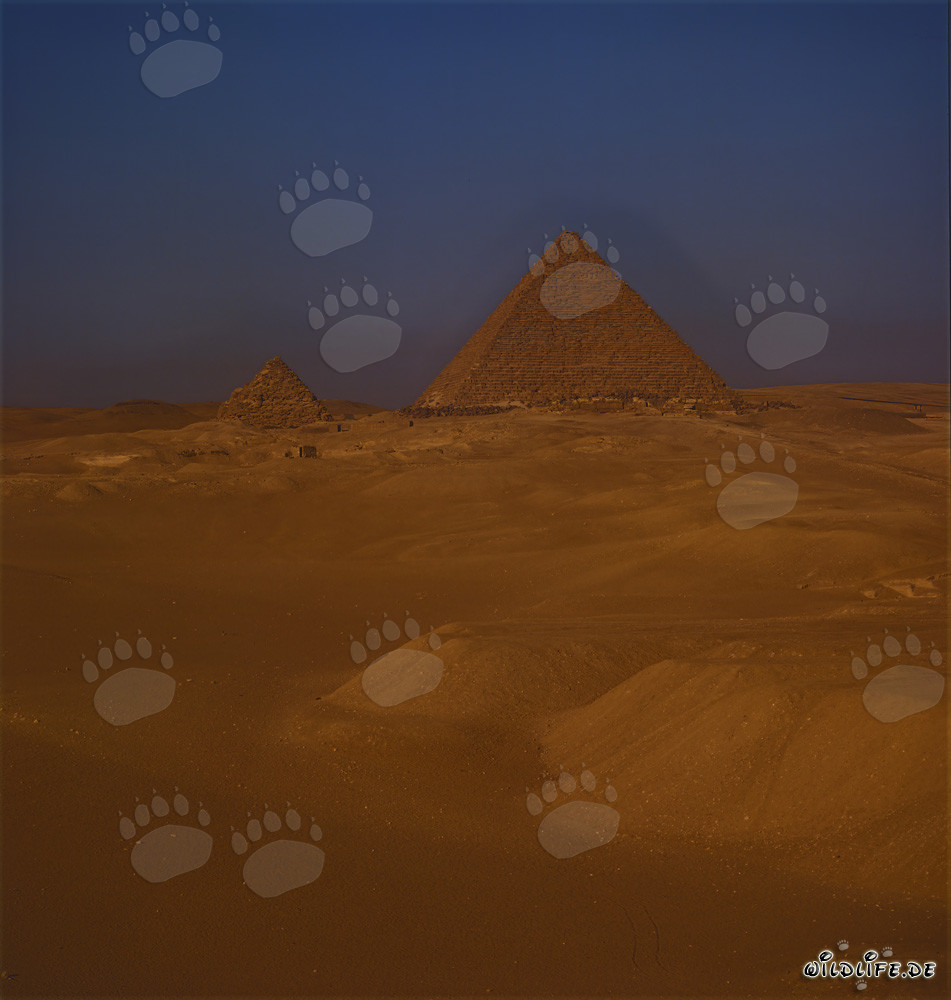 Die majestätischen Pyramiden von Cheops und Mykerinos in der ägyptischen Wüste