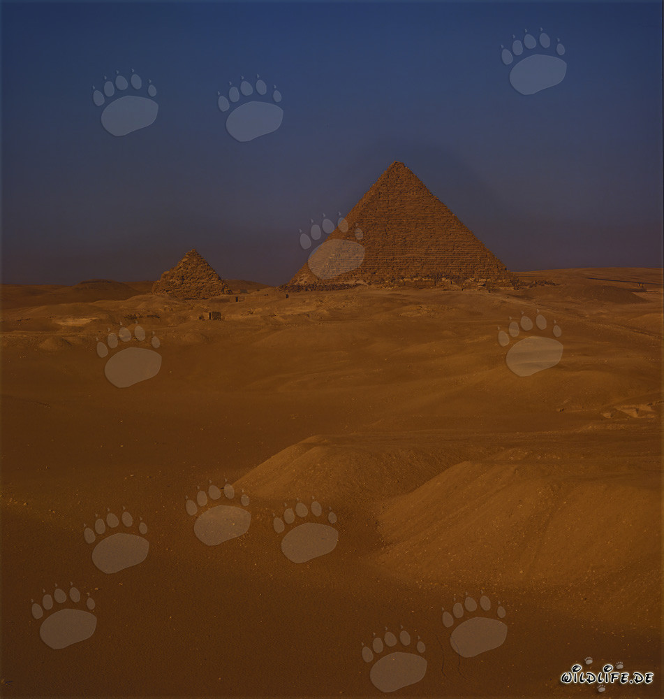 Les majestueuses pyramides de Khéops et Mykérinos dans le désert égyptien