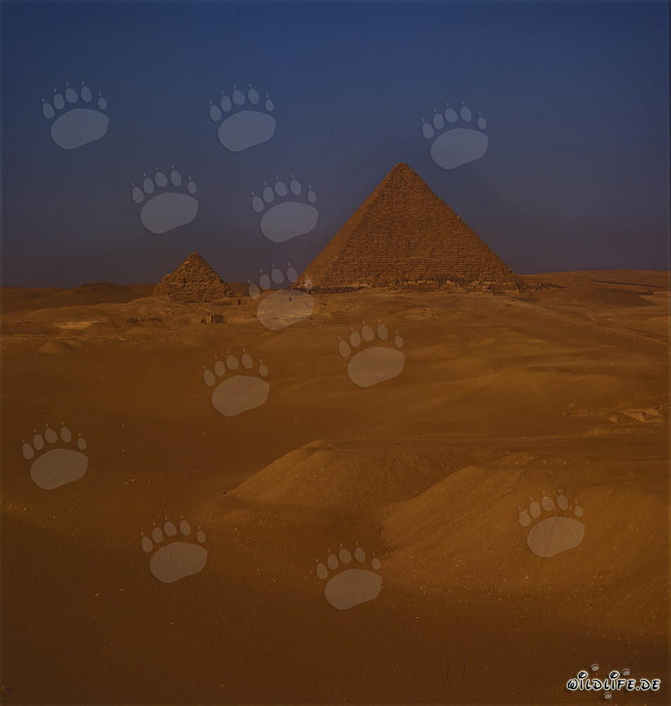 The majestic pyramids of Khufu and Menkaure in the Egyptian desert