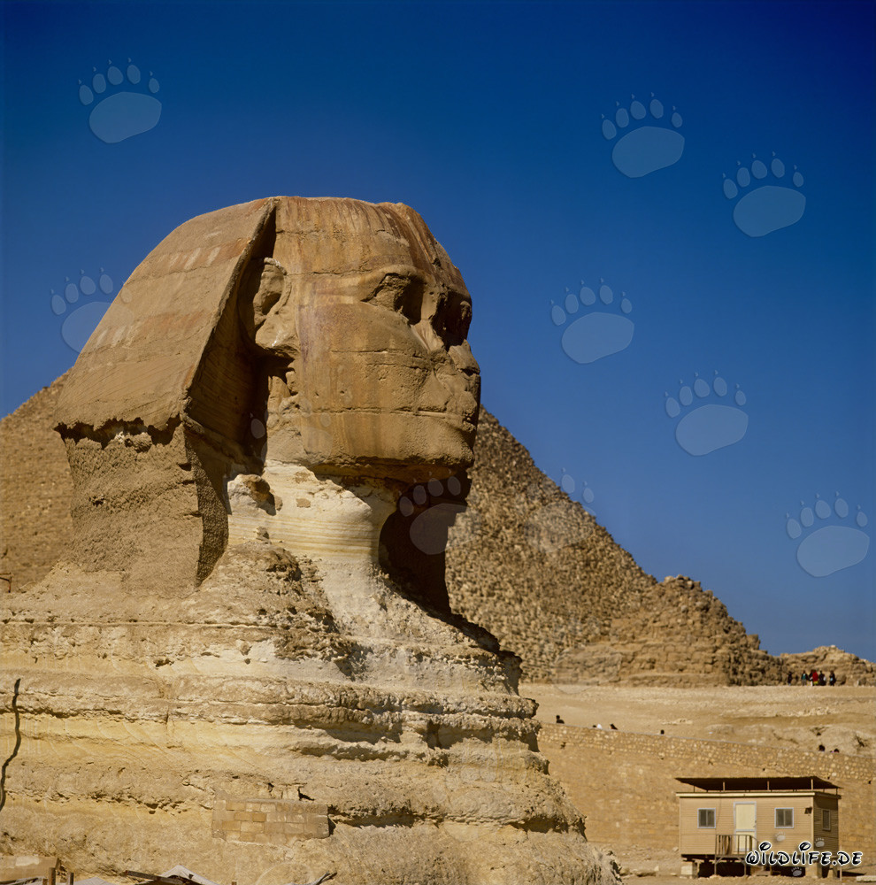 Great Sphinx of Giza