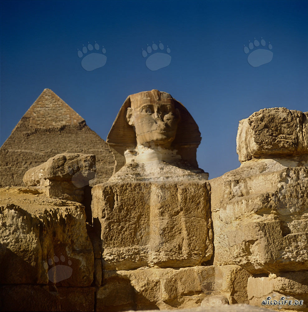 Great Sphinx of Giza