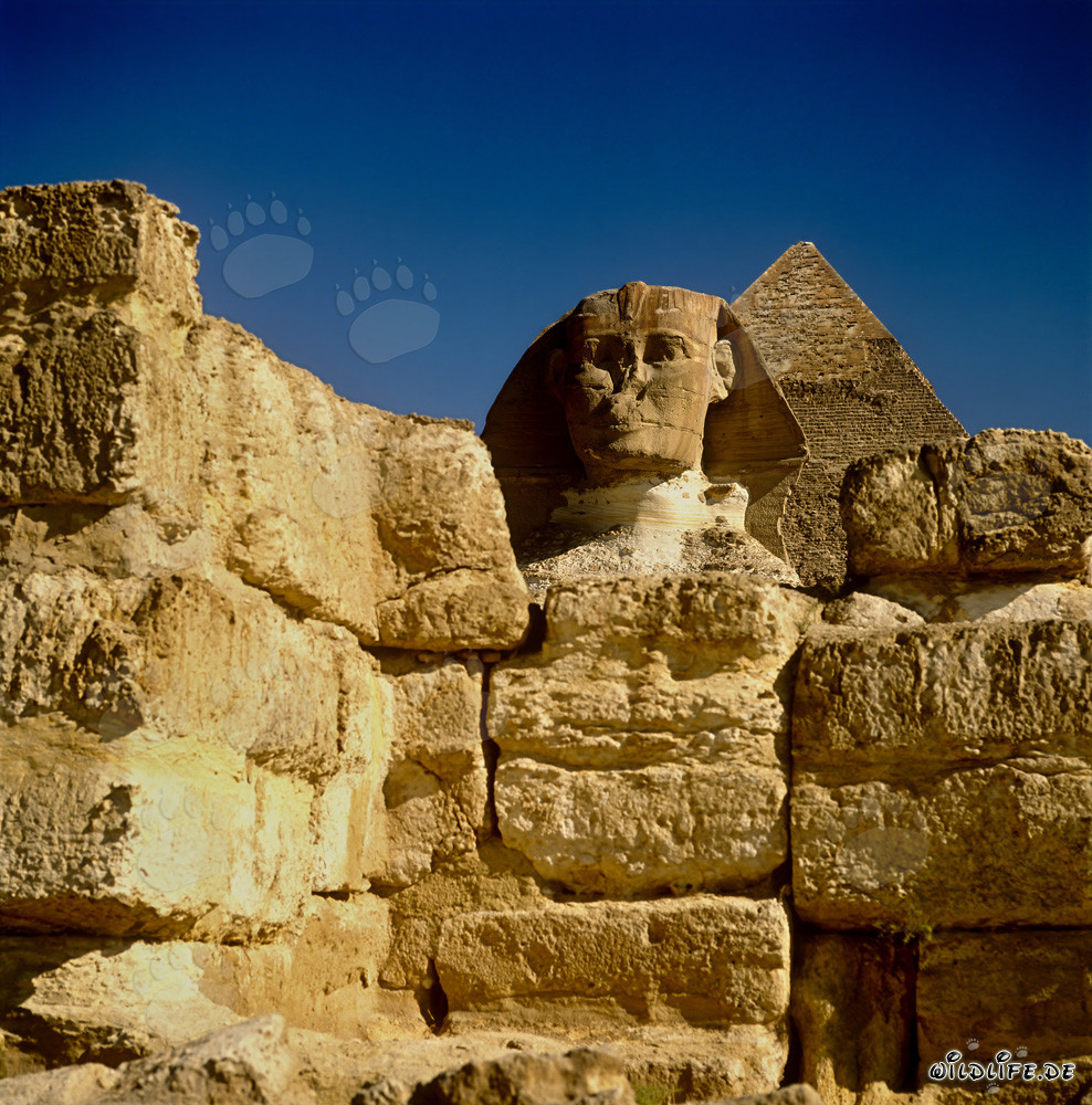 Great Sphinx of Giza
