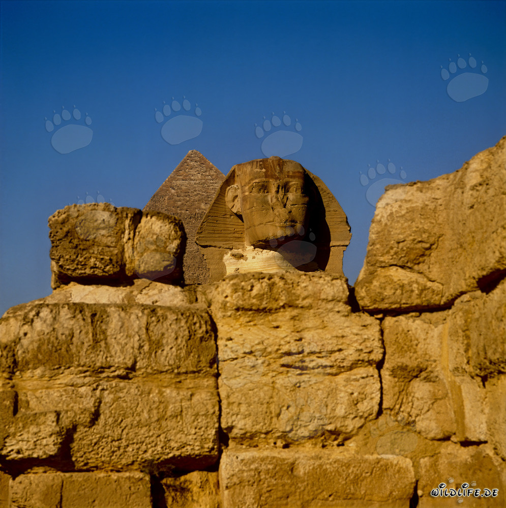 Énigme mystique : le Grand Sphinx de Gizeh