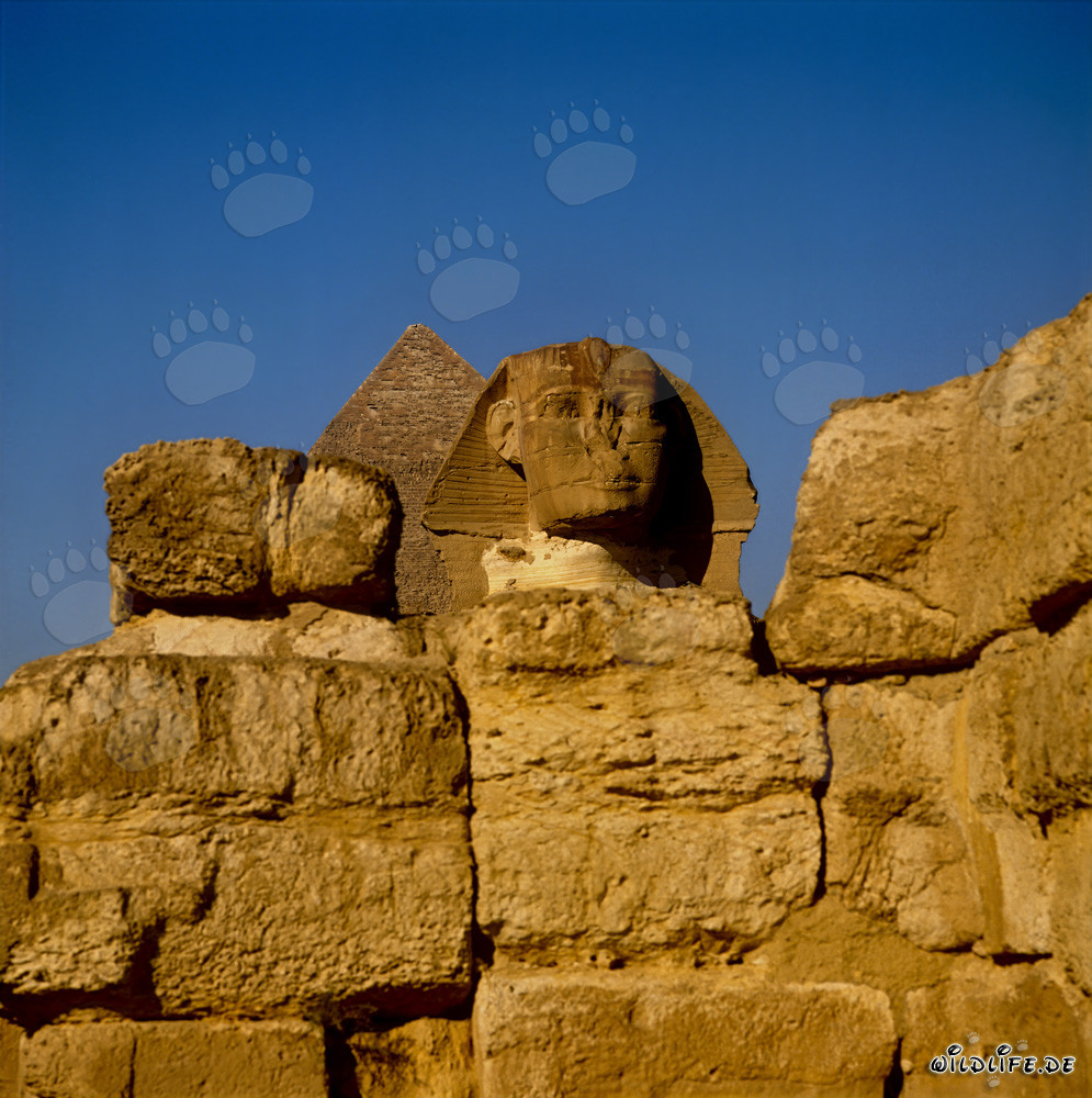 Mystical Mystery: Great Sphinx of Giza
