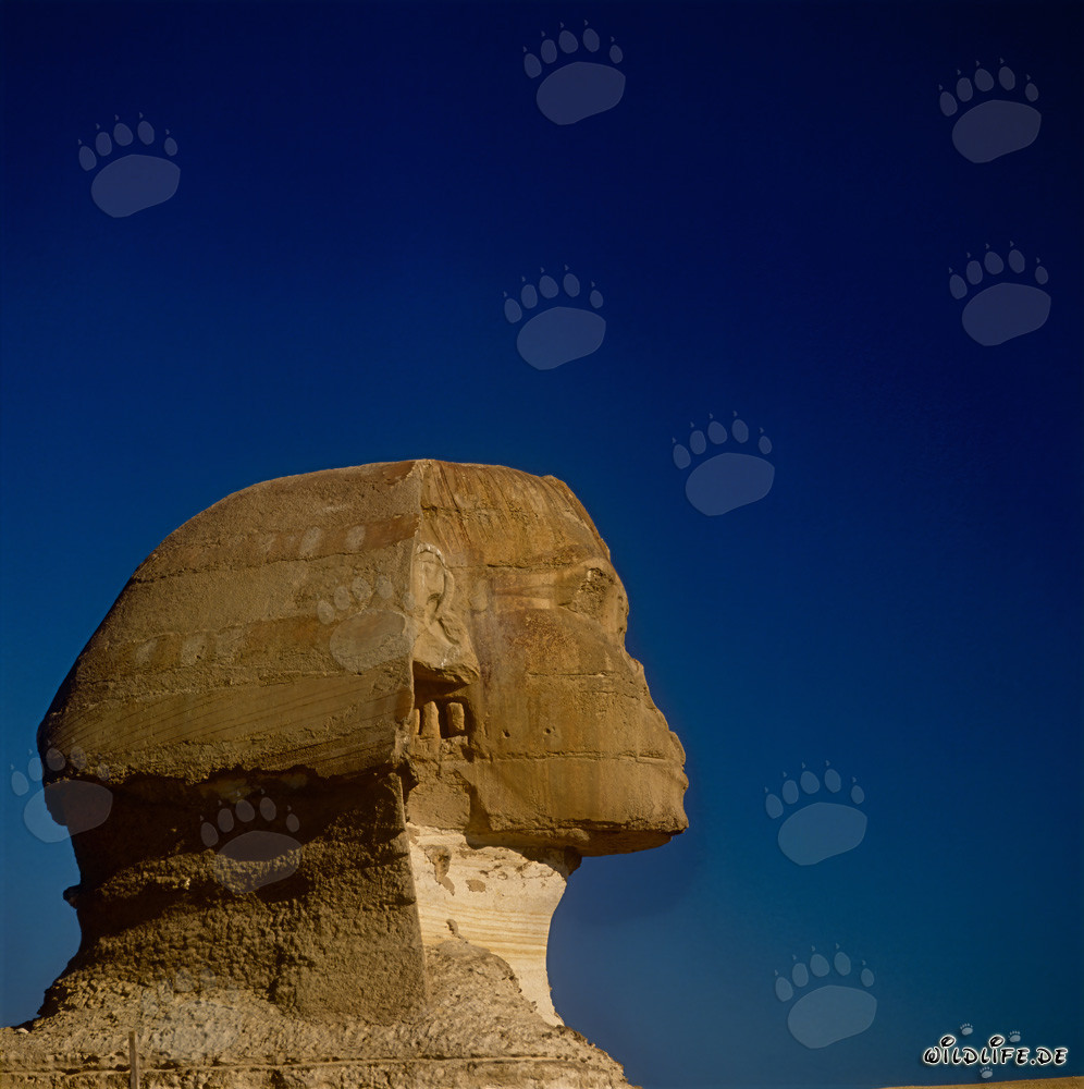 Gran Esfinge de Gizeh - El enigmático emblema de Egipto