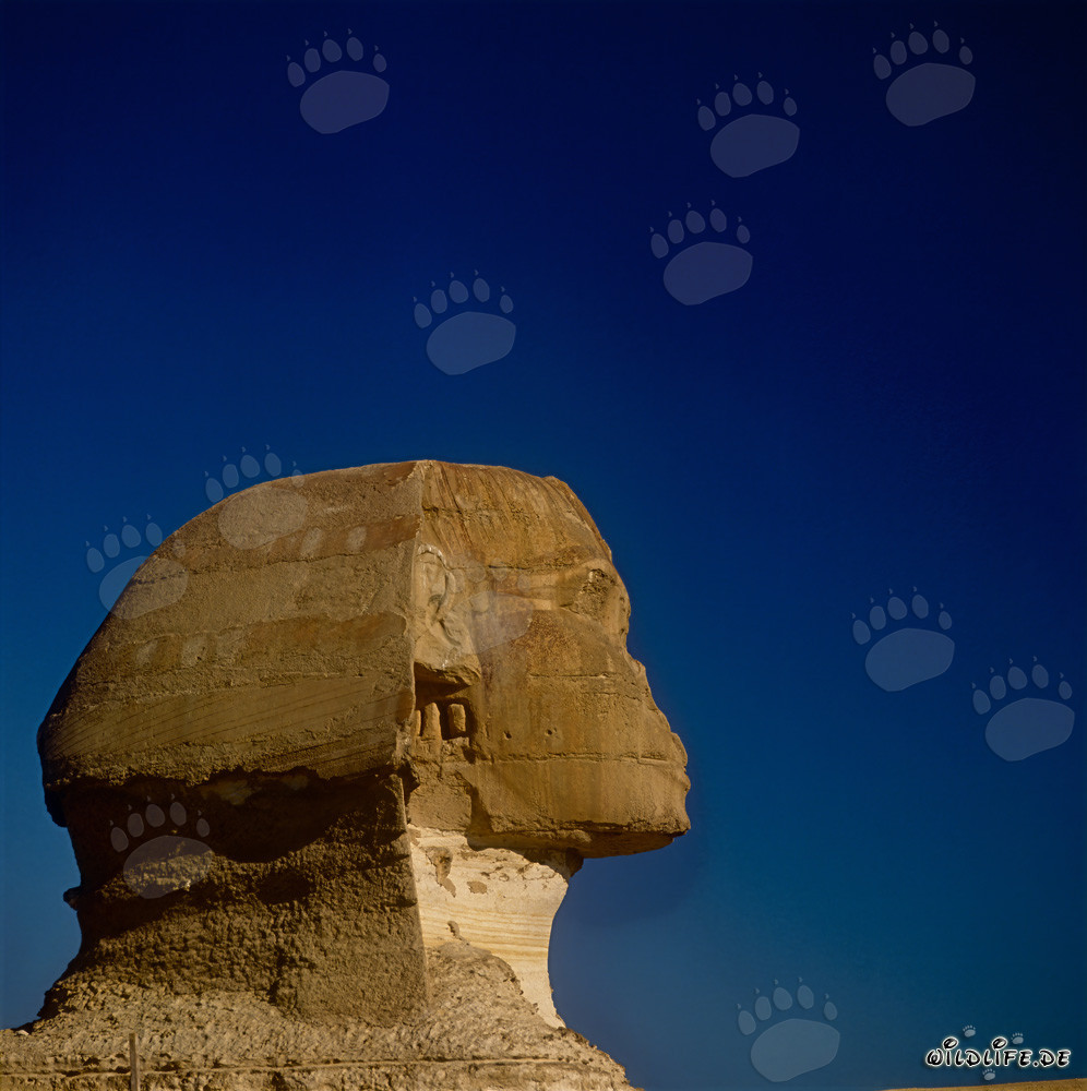 Great Sphinx of Giza - The Enigmatic Symbol of Egypt