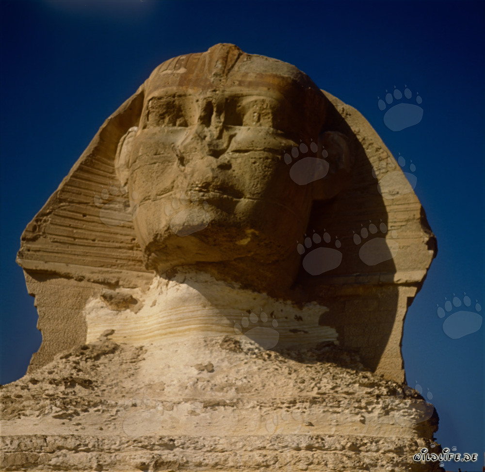La majestuosa Esfinge de Gizeh