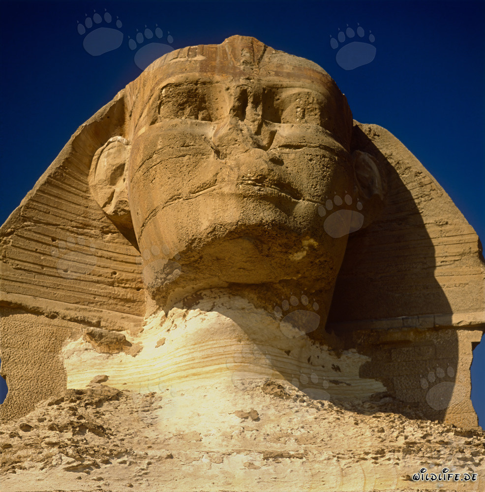 Enigmatic Great Sphinx of Giza