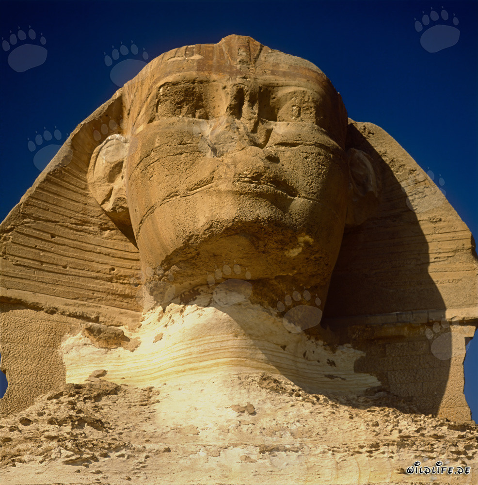 Il misterioso Sfinge di Giza