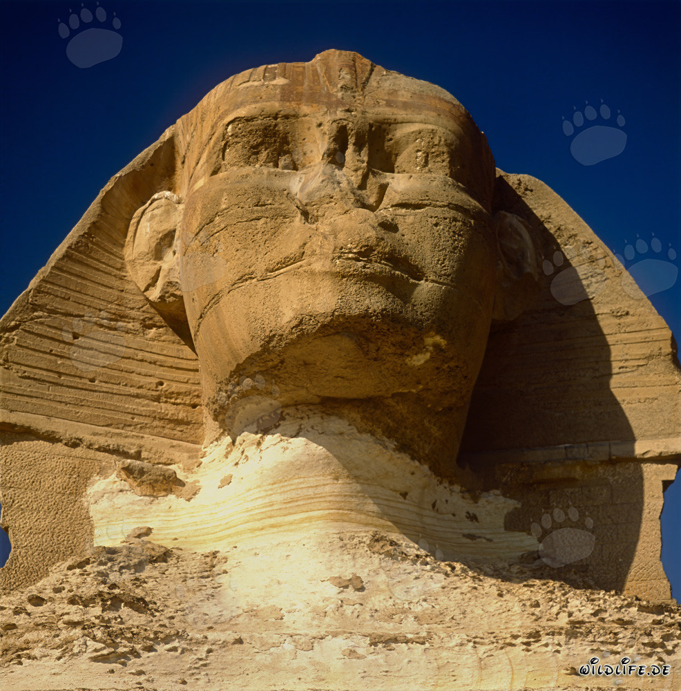 Le mystérieux Sphinx de Gizeh
