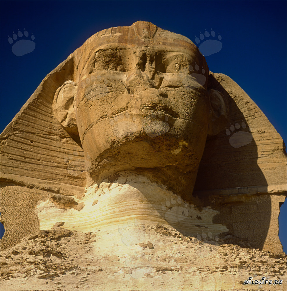 Rätselhafter Sphinx von Gizeh