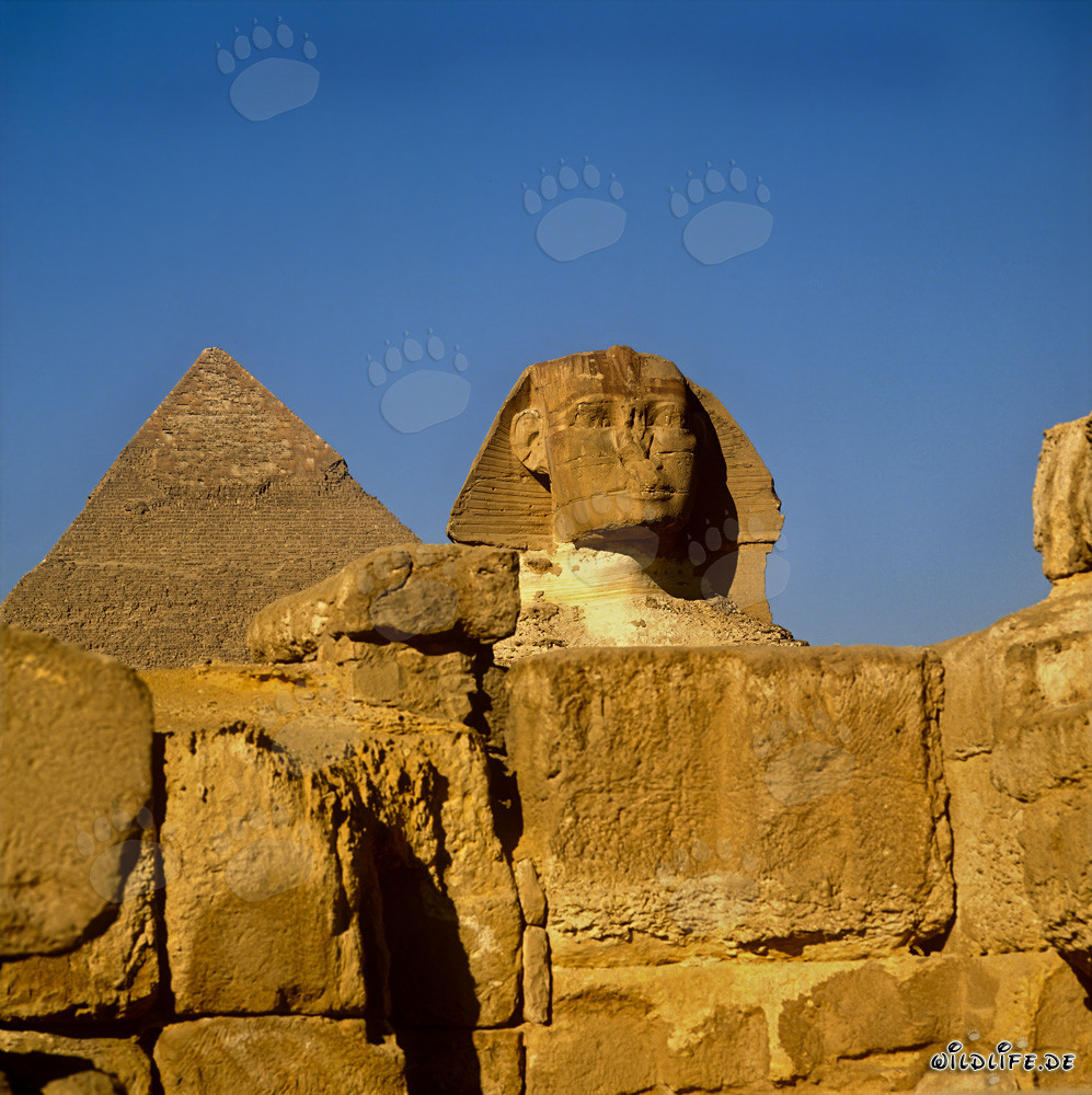 Great Sphinx of Giza