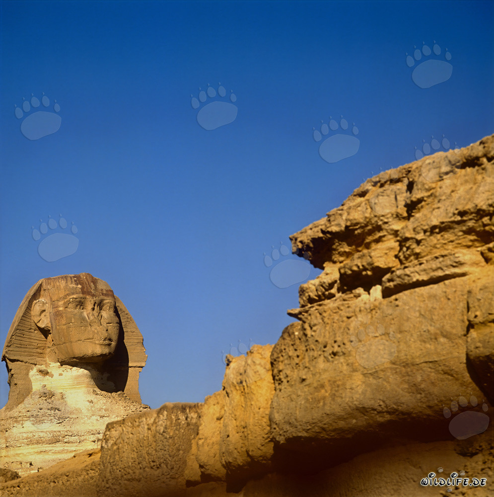 Great Sphinx of Giza
