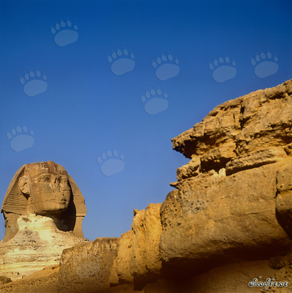 Grande Sfinge di Giza