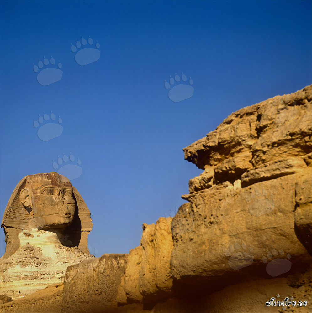Grande Sphinx de Gizeh