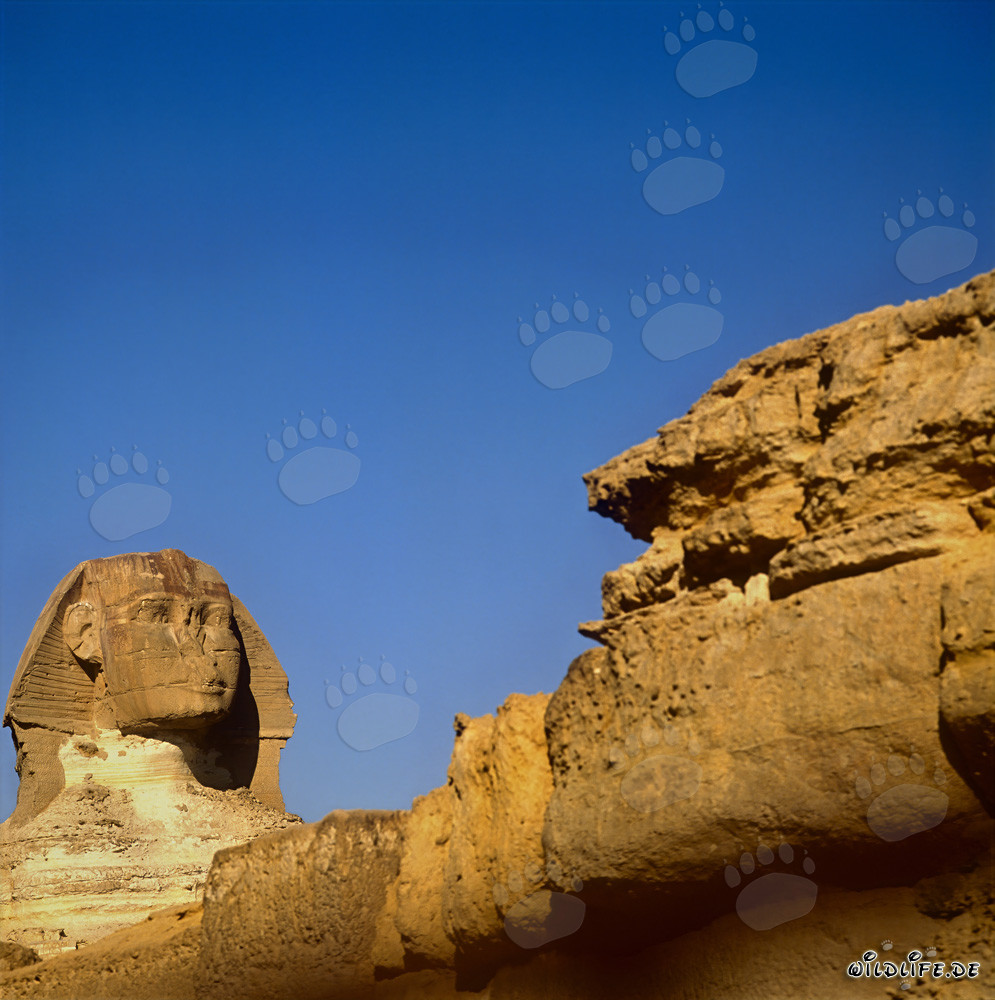 Große Sphinx von Gizeh