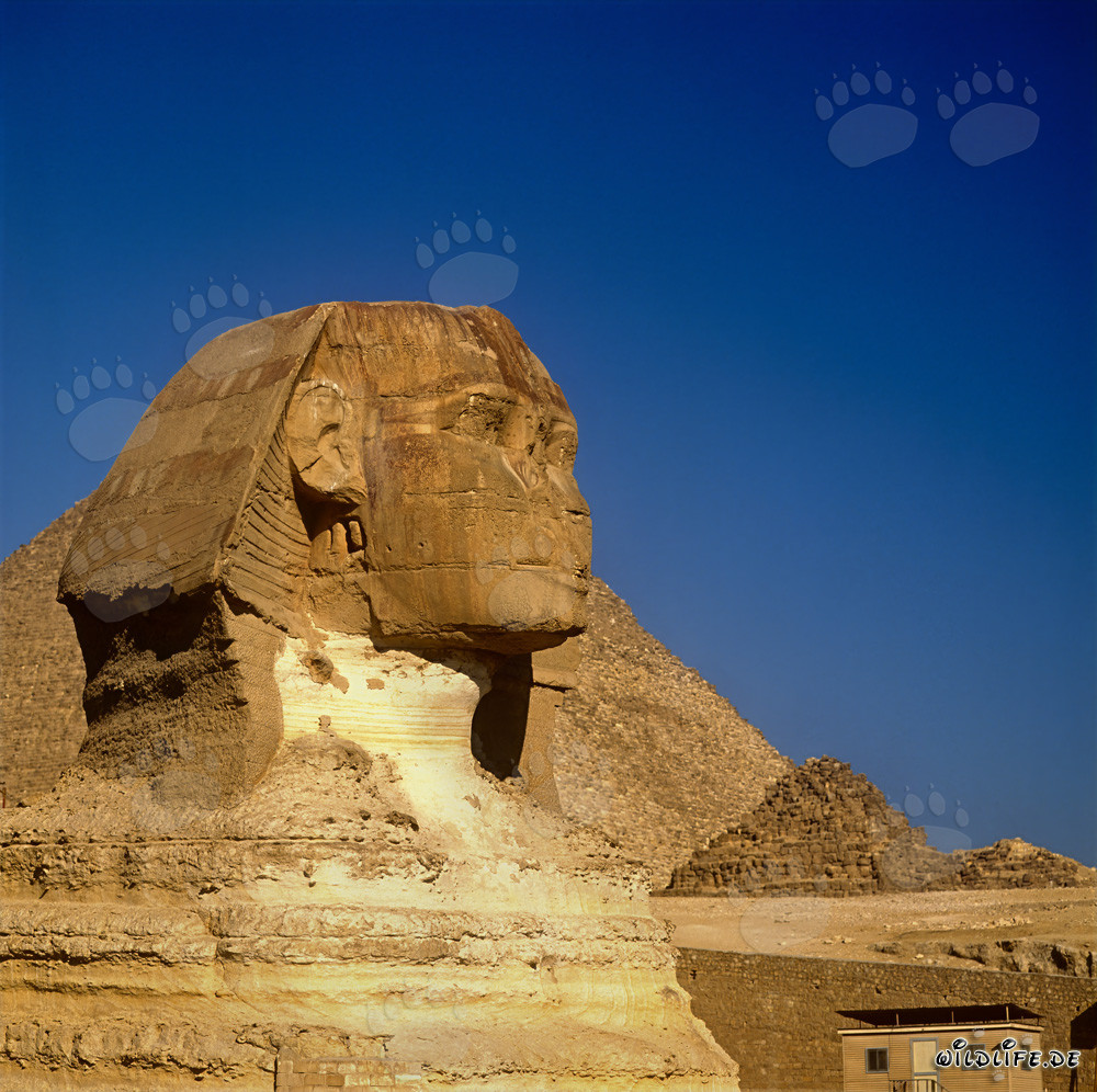 Gran Esfinge de Giza - El enigmático emblema de Egipto
